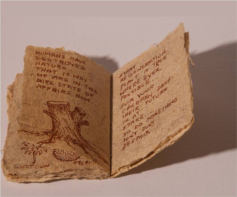 Book of Seeds — image 4