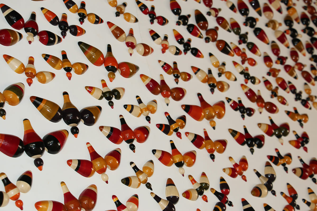Flights of Wonder — image 3