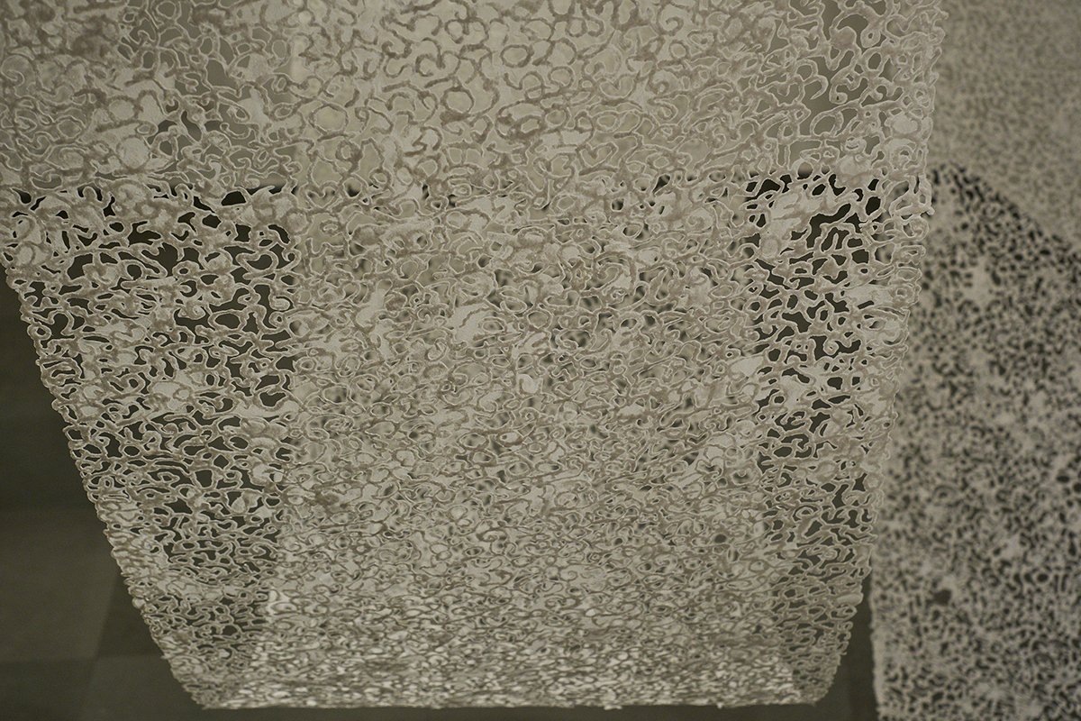 Shadows of breath — image 6
