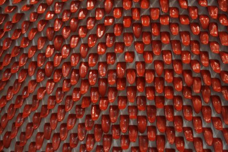 Thousand Desires — image 4