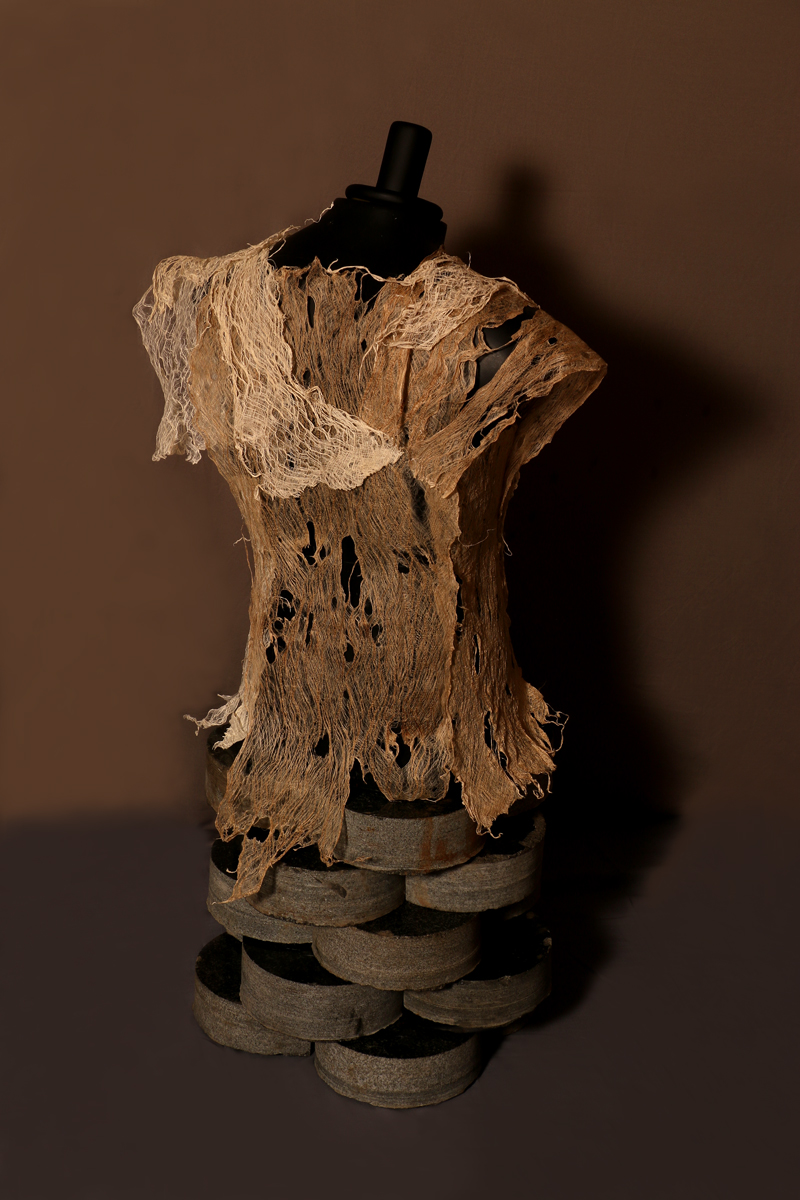 Membrane, 2019