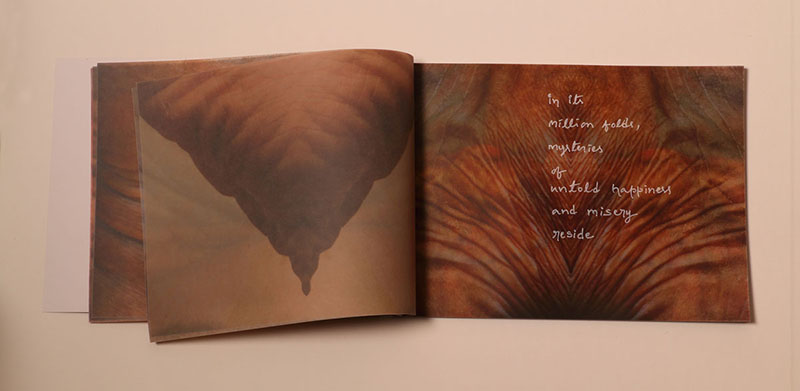Unknown Terrain — image 3