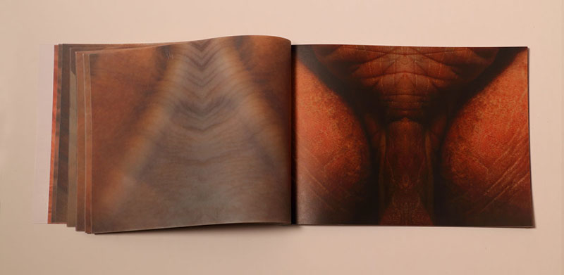 Unknown Terrain — image 4